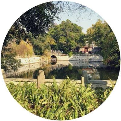 花与剑测试服下载